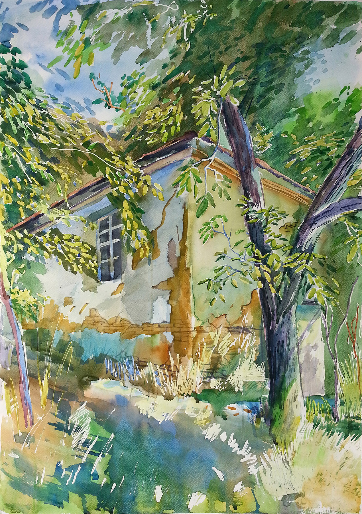 Aquarell 50x70